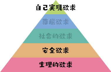 ピラミッド図解：少年・少女脳